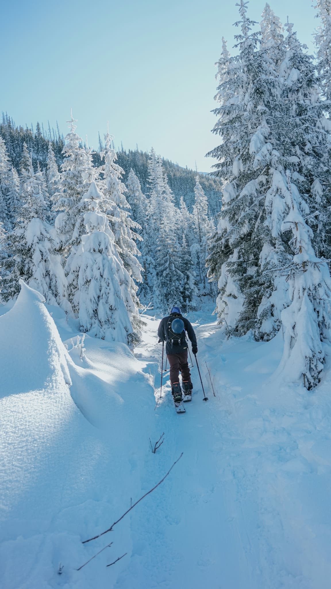 Splitboardeur dans un couloir de montagne
